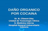 La visión global de la persona enferma - DAÑO ORGANICO POR COCAINA · 2015-11-10 · COCAINA ¾Puesto que nos encontramos entre los primeros puestos en consumo de cocaína la consecuencia