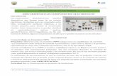 DESCUBRIENDO LOS COMPONENTES ELECTRÓNICOS · 2019-07-04 · que la corriente de base, controla la del colector y que el elemento es un AMPLIFICADOR”.3 3 Recuperado de: laboratorio