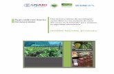 Informe El Salvador...Uso actual y oferta de tecnologías sostenibles en las cadenas de valor del cacao en El Salvador para mejorar la seguridad alimentaria INFORME NACIONAL |El Salvador