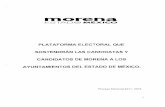 PLATAFORMA ELECTORAL QUE...1. Presentación El presente documento contiene la plataforma electoral de Morena que recoge el Proyecto Alternativo de Nación 2018 -2024 por el que se