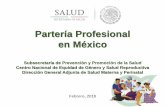 Partería Profesional en México · partería para la atención de la SSRMN. Fortalecer la oferta de servicios de calidad y promover la demanda calificada de los servicios de SSRMN
