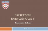 Procesos Energéticos II - Weeblybio-si.weebly.com/uploads/4/1/2/2/41226451/procesos_energticos_ii.pdf · de glucosa produce un máximo de 36 a 38 ATP 1. En la glucólisis, la activación