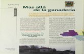 Cantabria Mas allá · chamiento de las riquezas de la Comunidad. Si exceptuamos los casos de Santander y Torrelavega, la mayor parte de la población se encuentra dispersa en numerosos