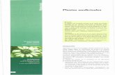 Plantas medicinales - Dialnet · Plantas medicinales Resumen El objetivo del presente artículo no es hacer un estudio detallado de las plantas medicinales empleadas como antiinflamatorias,