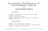 JUAN XXIII CARTUJA MATEMÁTICAS II: ÁLGEBRA LINEAL Y ......ÁLGEBRA LINEAL Y GEOMETRÍA ALGEBRA TEMA 1 Sistemas de ecuaciones lineales TEMA 2 Matrices ... 3 2 1xy es una ecuación