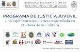 PROGRAMA DE JUSTICIA JUVENIL · Acercar la realidad de la Justicia al alumnado y a sus familias: • Promocionando la Administración de Justicia en el ámbito educativo a través