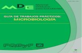 Guía de Trabajos Prácticos. Microbiología General · 2019-08-05 · Guía de Trabajos Prácticos de Microbiología – Lic. en Biotecnología 2019 II PRESENTACIÓN DEL CURSO Nombre