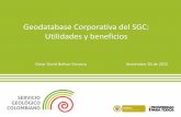 Geodatabase Corporativa del SGC: Utilidades y beneficios PRESENTACIÓN DÍA SIG... · Disponibilidad al público en general de los productos WEB del SGC De acuerdo con la ley 1712