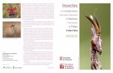 Insectes - Diputació de Tarragona · 2016-10-14 · Insectes Una mirada macro dels petits habitants de Montsant i muntanyes de Prades d’Isidre Fabra Empusa (Empusa pennata) Bellesa,
