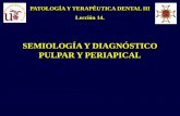 PATOLOGÍA Y TERAPÉUTICA DENTAL III Lección 14.personal.us.es/segurajj/documentos/PTD-III/Temas PTD-III...el efecto de sustancias hiperosmóticas, provocan el movimiento del fluido