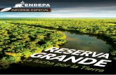 La Reserva Grande - Aberturas Alivenendepa.org.ar/contenido/informe-reserva.pdf · los ríos Teuco, el Bermejo y atrave-sado por el Bermejito. Dentro del Impenetrable, existe un territorio