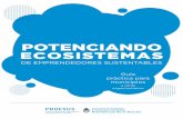POTENCIANDO ECOSISTEMAS · 2019-12-04 · de ecosistemas de emprendedores sustentables en cada municipio, ciudad y pueblo de Argentina. Elegimos poner foco en los emprendimientos