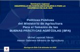 Políticas Públicas del Ministerio de Agricultura Para el ... · Externalidades Negativas BPA Positivas Multifuncionalidad Medio Ambiente Razones Geopolíticas Cultura Identidad