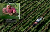 AGRICULTURA VITICULTURA · la viticultura», cuenta Karl Rummel. El hijo de 26 años, enotécnico cualificado, deberá aprender algún día las habilidades necesarias para llevar