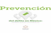 ¿DÓNDE QUEDÓ LA EVIDENCIA? · 2 Prevención del delito en México: ¿dónde quedó la evidencia? Presentación La prevención del delito es un componente central en toda estrategia