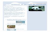 Family holiday newsletter - Weebly · Web viewLa tortuga de mar: Pesca comercial.Para terminar, las especies anteriormente mencionadas, son 5 de las más de 100 especies por desaparecer.