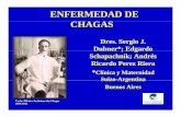 ENFERMEDAD DE CHAGAS - Cardiolatinacardiolatina.com/wp-content/uploads/2019/02/esp_dubner_perez-riera... · Enfermedad de Chagas 100 70 80 90 Mujeres Hombres d e a 40 50 60 c entaje
