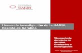 Líneas de investigación de la UAGM, Recinto de Carolina · proceso que se llevó a cabo en la UAGM-Carolina para la identificación de las líneas de investigación, (4) el instrumento