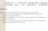 Practico Nº 7: Micorrizas: bioinoculantes fúngicos ...agro.unc.edu.ar/~microbiologia/wp-content/uploads/2014/04/Trabajo-Práctico-Nº-7.pdf2-Observación microscópica de ecto y