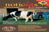 BOLETIN DE SEMEX Nº 11• OTOÑO ‘ 99Balance El Programa de selección SEMEX U n programa de toros jóvenes es loque distingue los resultados de las diferentes genéticas en el