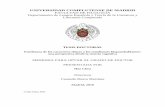 UNIVERSIDAD COMPLUTENSE DE MADRID FACULTAD DE FILOLOGÍA Departamento de …eprints.ucm.es/46894/1/T39692.pdf · 2018-03-15 · universidad complutense de madrid facultad de filologÍa