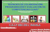 Las Competencias Básicas en el diseño curricular y en la ...cefire.edu.gva.es/pluginfile.php/644043/mod_resource/content/3/PONENCIA... · Nº de sesiones 2 sesiones de 45[ Agrupamientos