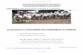 UNIVERSIDAD NACIONAL DE RIO CUARTO FACULTAD DE …produccion-animal.com.ar/produccion_ovina/ovina_y_capri... · 2011-08-04 · La reducción de la población de ovinos durante las