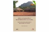 Desculturación y regeneración cultural209.177.156.169/libreria_cm/archivos/pdf_1244.pdfefecto se retoman los indicadores identificados y creados por Federico Vargas (2008), específicamente