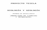 Programación Tesela Biología y Geología 1º Bach. … · Web viewReconocer la importancia del magmatismo y del metamorfismo como procesos generadores de nuevas rocas, así como