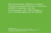 Documento Marco sobre Enfermedad Renal Crónica (ERC ... · Objetivos del grupo de trabajo de ERC Los profesionales sanitarios, las asociaciones de pacientes y las autoridades sanitarias