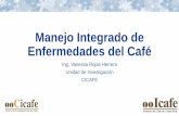 Manejo Integrado de Enfermedades del Café · Manejo Integrado de Enfermedades del Café Ing. Vanessa Rojas Herrera Unidad de Investigación CICAFE