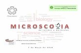 7 de Mayo 2018 - CINVESTAV · 2018-05-10 · Robert Hooke 1665 Célula . Microscopio simple 1686 Microscopio compuesto 1850 . Microscopio compuesto SISTEMAS DE UN MICROSCOPIO ILUMINACIÓN