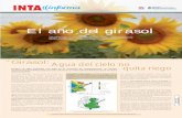 El año del girasol - INTA Informaintainforma.inta.gov.ar/wp-content/uploads/2010/08/109.pdfUna niña no tan bonita La Niña es un fenómeno inverso al de El Niño, que se caracteriza