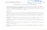 Concurso ordinario 505/2006 AL JUZGADO DE LO MERCANTIL Nº 6 DE MADRID JOSE MARÍA DE … · 2016-01-20 · Noveno.-Con fecha 24 de febrero de 2015 se solicitó al Juzgado Mercantil