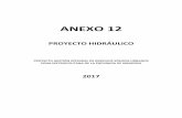 ANEXO 12 · 2019-10-18 · canales en tierra (sin revestir), colectores de HºAº y alcantarillas y reservorios de detención temporal de crecidas, para laminar las crecidas y llevarlas