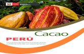 y el desarrollo de sus exportacionesinfocafes.com/portal/wp-content/uploads/2016/12/ficha_cacao.pdf · y Colombia que captaron el 44% del total de dichos envíos. No obstante, cabe