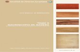 Serie didáctica de DENDROLOGÍA - :: mi UMSAmi.umsa.edu.ar/miumsa/downloads/materiales/sprovieri.4681/Material... · Tomo II- Macroscopía de la madera 4 I N D I C E Introducción