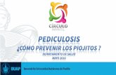 Presentación de PowerPointcmas.siu.buap.mx/portal_pprd/work/sites/circulo_infantil/resources... · Solo los niños tienen piojos” FALSO . Benemérita Universidad Autónoma de Puebla