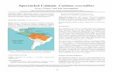 SpectacledCaiman Caimancrocodilus...El Salvador: Escobedo et al. (2004) report the ﬁ rst crocodilian surveys in El Salvador, with a very depleted population for C. crocodilus; only