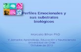 Perfiles Emocionales y sus substratos biológicoseducacionyneurociencias.cl/wp/wp-content/uploads/2012/12/... · 2012-12-11 · 2. ¿Puedes abstraerte de las emociones y mantenerte