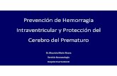 Prevención Hemorragia Intraventricular · Sepsis Transfusión Productos Sanguíneos E.D.S. Hiponatremia Hipoglicemia Hipotermia Shock ‐Hipotensión Transporte del RN prematuro