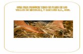1 · La industria de México demanda trigo harinero con calidad de gluten fuerte para la fabricación mecanizada de pan y trigo duro con alta calidad para la elaboración de ... El
