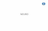 NEURO...Sistema nervioso CUERPOS NEURONALES PROLONGACIONES SNC SUSTANCIA GRIS (corteza y núcleos) SUSTANCIA BLANCA (axones y dendritas) SNP GANGLIOS NERVIOSAutoevaluación A) Nombre
