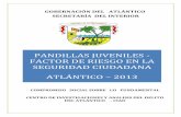 PANDILLAS JUVENILES - FACTOR DE RIESGO EN LA SEGURIDAD … · 2019-01-23 · PANDILLAS JUVENILES - FACTOR DE RIESGO EN LA SEGURIDAD CIUDADANA ATLÁNTICO – 2013 . ... De igual forma,