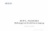 BTL-5000 Magnetotherapy - Frank's Hospital Workshop · MAGNETOTERAPIE - UŽIVATELSKÁ PŘÍRUČKA BTL Physiotherapy page 5 of 31 2 MAGNETOTHERAPY – PHYSICAL BACKGROUND 2.1 MAGNETIC