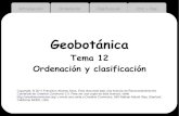 Geobotánica · 3 Introducción Ordenación Clasificación Ord. + Clas. Interpretar cada unidad muestral según similitudes y diferencias. No hacer divisiones artificiales realidad.