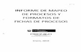 INFORME DE MAPEO DE PROCESOS Y FORMATOS DE FICHAS DE PROCESOS · El Mapeo de Procesos arrojo como resultado un aproximado de 260 procesos nivel 2,38 procesos nivel 1 y 14 procesos