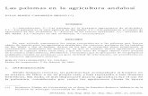 Las palomas en la agricultura andalusídynamis/completo21/PDF/dyna-10.pdfLas palomas en la agricultura andalusí 237 DYNAMIS. Acta Hisp. Med. Sci. Hist. Illus. 2001, 21, 233-256.I)