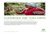 CADENA DE VALORS - Tierra Madre · RESUM Les cadenes de valor en el comerç de productes alimentaris reflecteixen el viatge que fa un producte des que és recol·lectat fins que arriba
