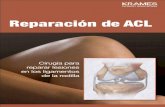 Reparación de ACL (PDF)...Antes de poder tratar su rodilla, es necesario hacer una evaluación. Después del tratamiento, usted tendrá un rol fundamental en la recuperación. Tratamiento